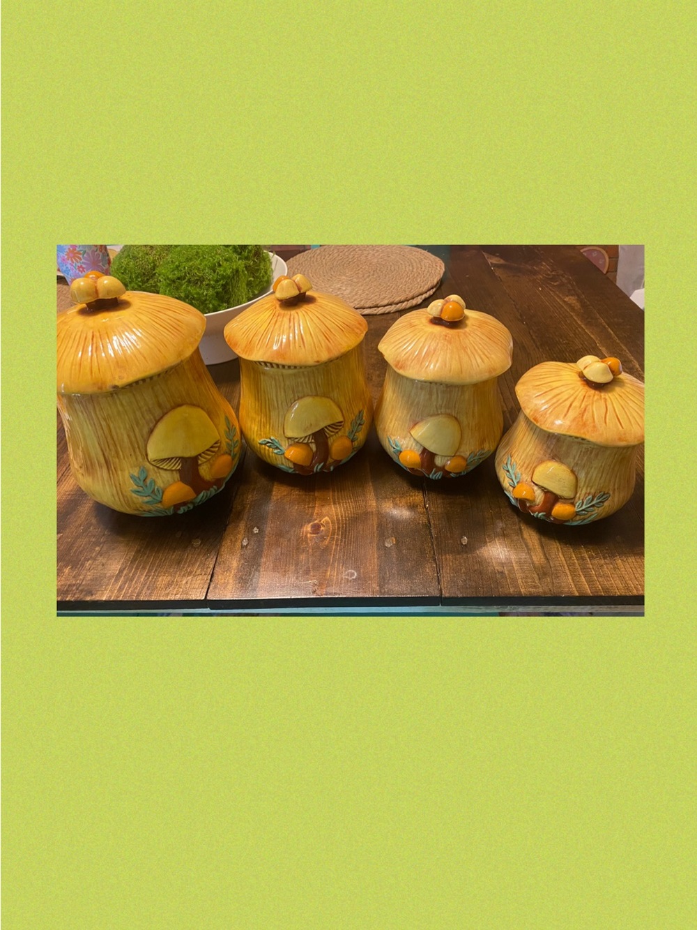 Vintage Arnels Mushroom Canister set of 4